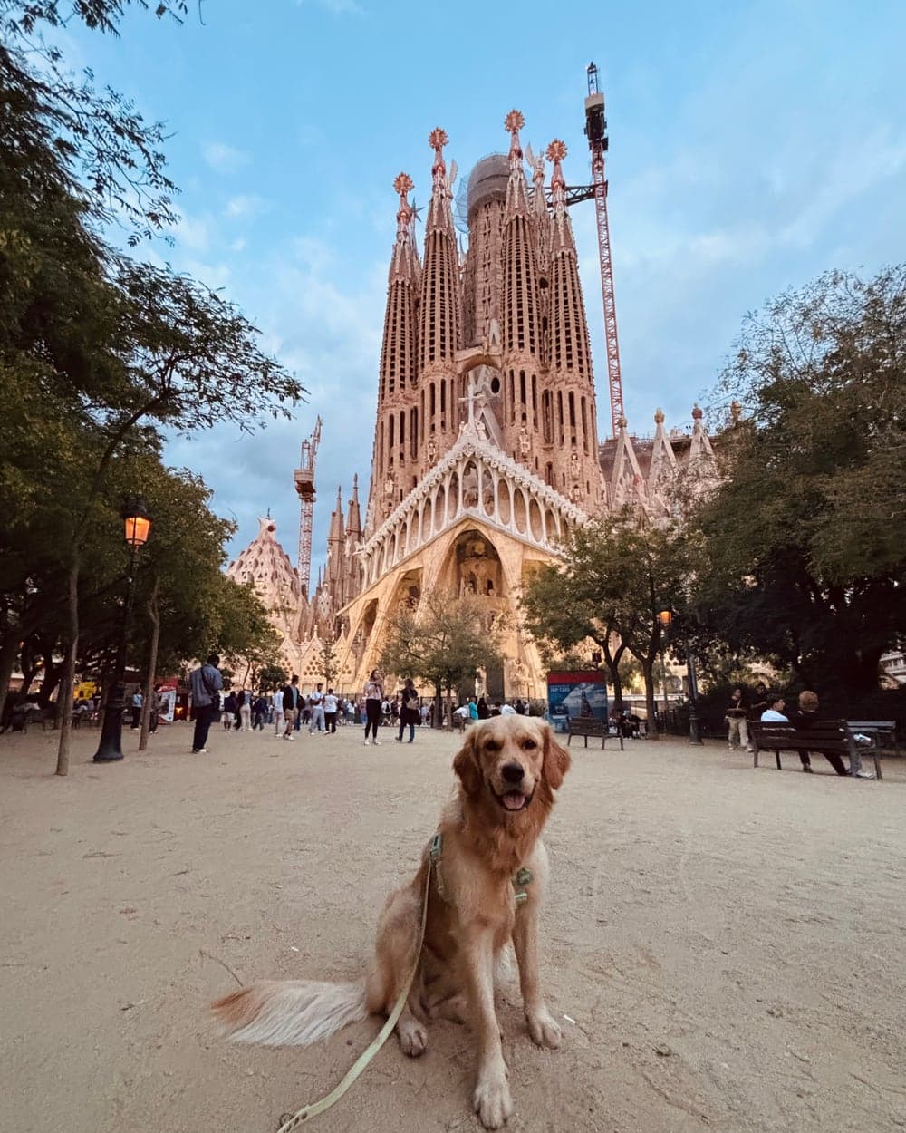 Easy the Golden Retriever davanti alla Sagrada Familia
